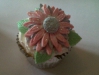 cupcakes14